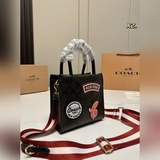 (配盒)size：17×17Coach 蔻馳新款mini cally琴譜包