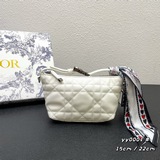 【DIORTRAVEL NOMAD 手拿包】搭配老虎盒子-配絲巾可用于單肩y