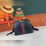 （貝殼包）專櫃品質，頂級原版，實物實拍！款号499621克皮～尺寸：寬23x高1