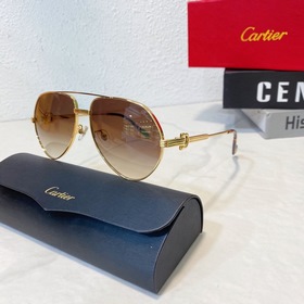 Cartier  型號：CT0348 尺寸：58口17-145