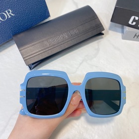 DIOR Diorsignafure S1U 尺寸：54口21-145
