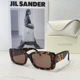 VALENTINO  VA4108 尺寸：53 20 145